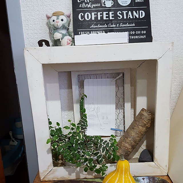 棚/観葉植物のインテリア実例 - 2019-03-05 21:52:06