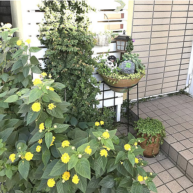 miya.ayaさんの実例写真