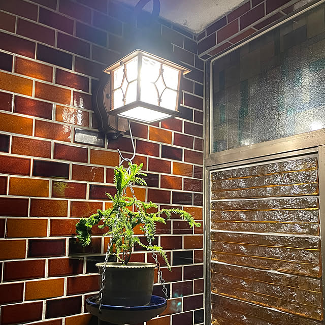 shin0719さんの実例写真