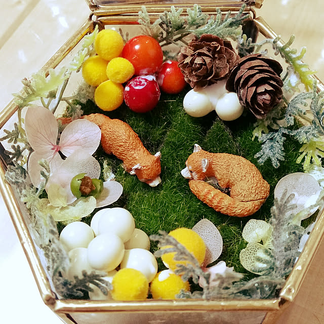hanasoraさんの実例写真