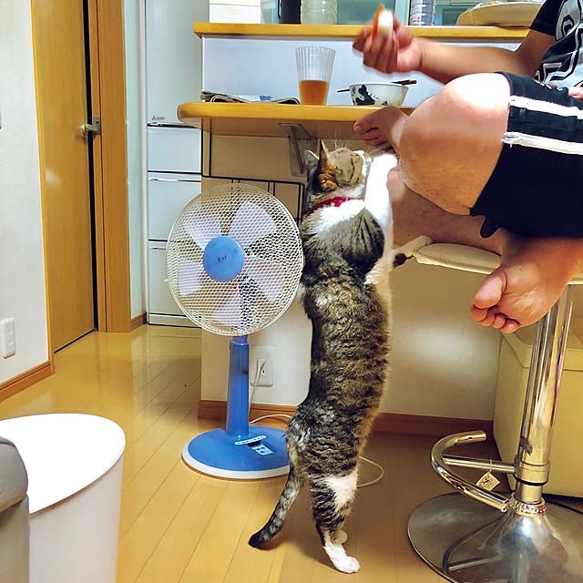 nnmmさんの実例写真
