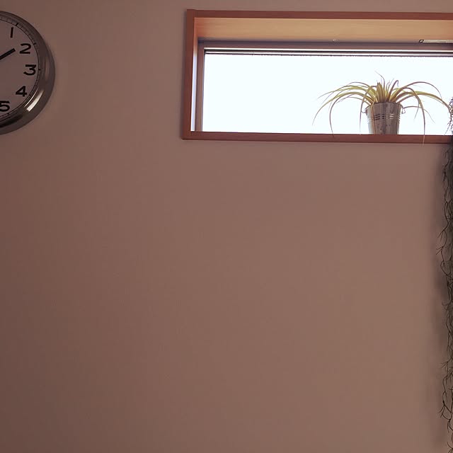Ailiさんの実例写真