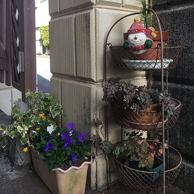 実例写真