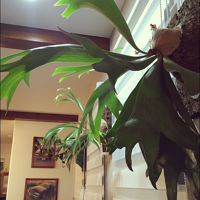 tkc034さんの実例写真