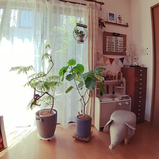 実例写真