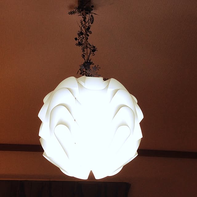 壁/天井のインテリア実例 - 2014-03-12 23:36:32
