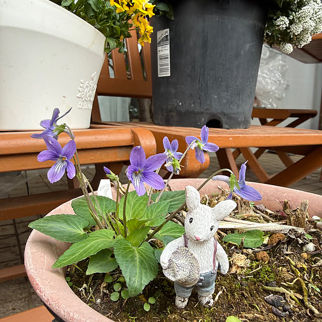 Aqettyさんの部屋