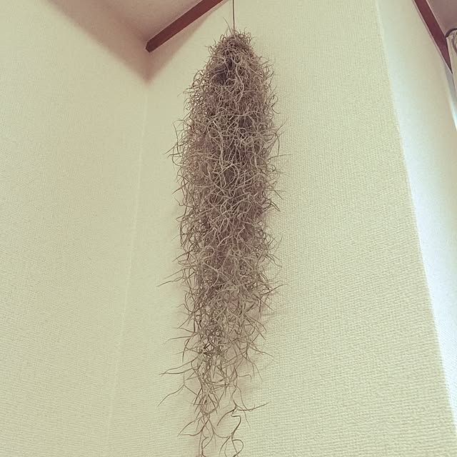 Kさんの実例写真