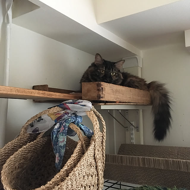 mikomaruさんの実例写真
