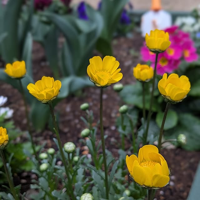 reeさんの実例写真