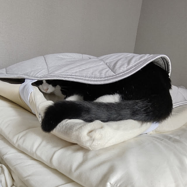 hihaさんの実例写真
