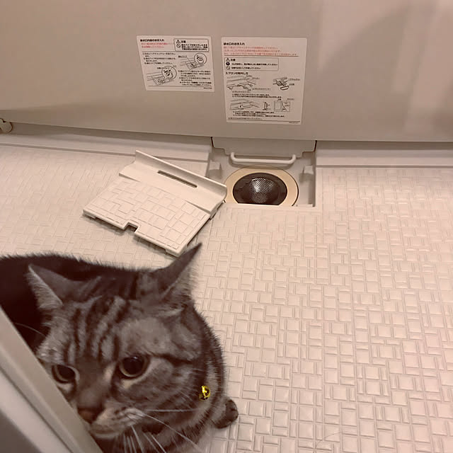 hiyupan88さんの実例写真