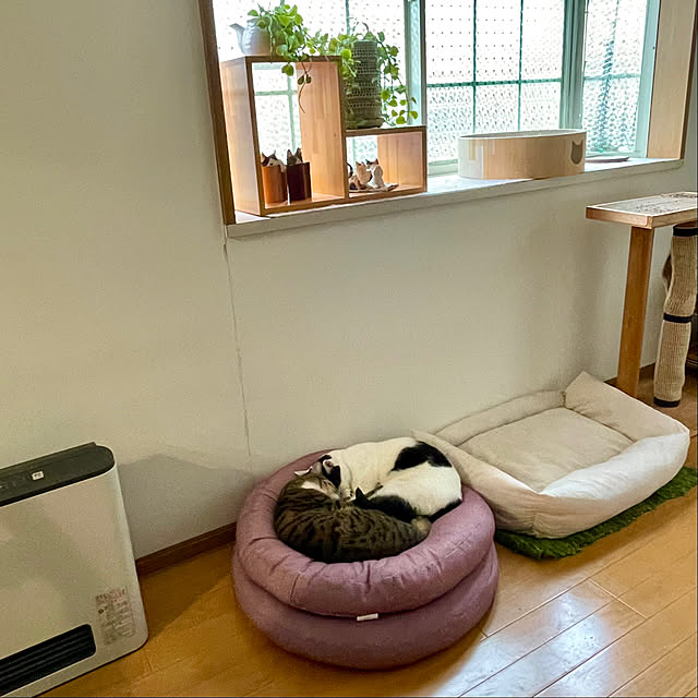 nobikoさんの部屋