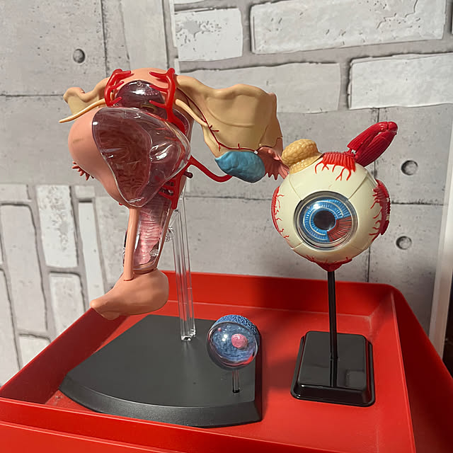 ken96さんの部屋