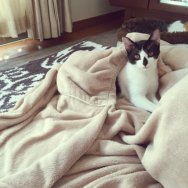 mihoさんの実例写真