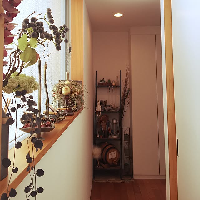 iburamuさんの実例写真