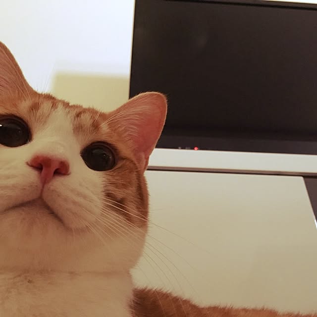 kaihazuさんの実例写真