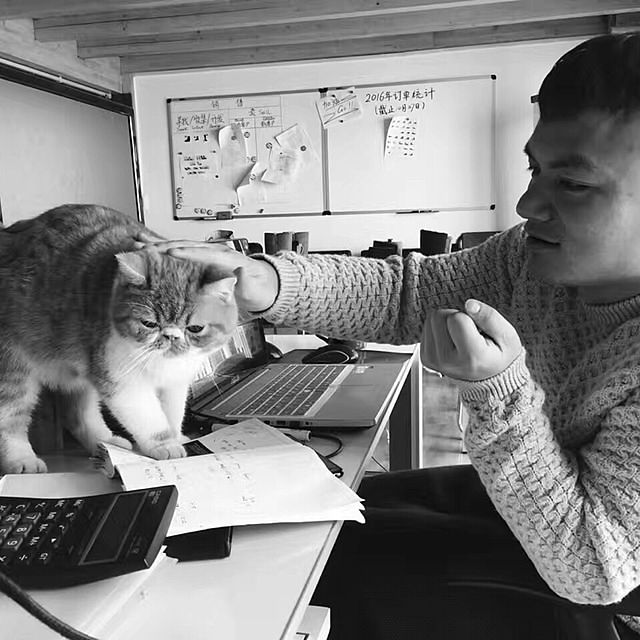 実例写真