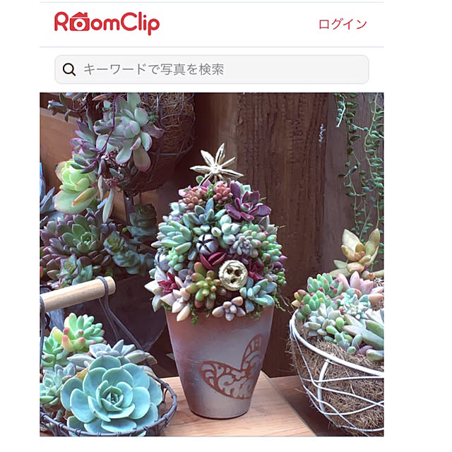 mintteaさんの実例写真