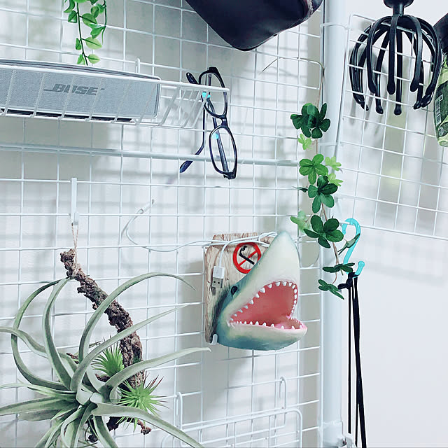 観葉植物/フェイクグリーン/壁/天井のインテリア実例 - 2019-09-27 19:51:50
