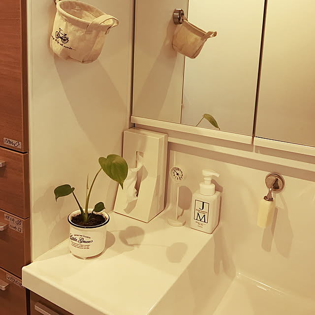 バス/トイレ/グリーン初心者/子供と暮らす。/2階お風呂/ダイソーの観葉植物...などのインテリア実例 - 2017-08-09 10:31:09