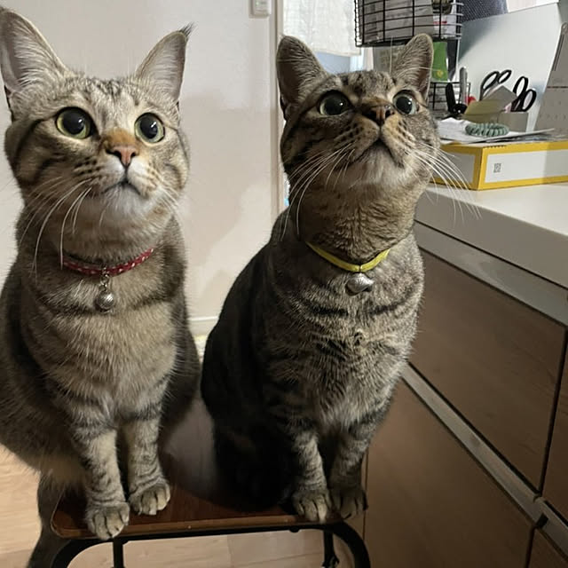 nonchanさんの実例写真