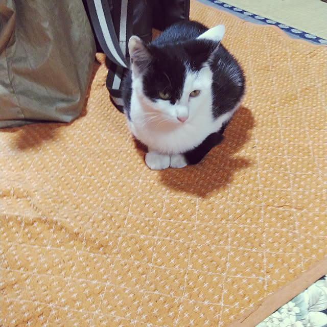 lilyさんの実例写真