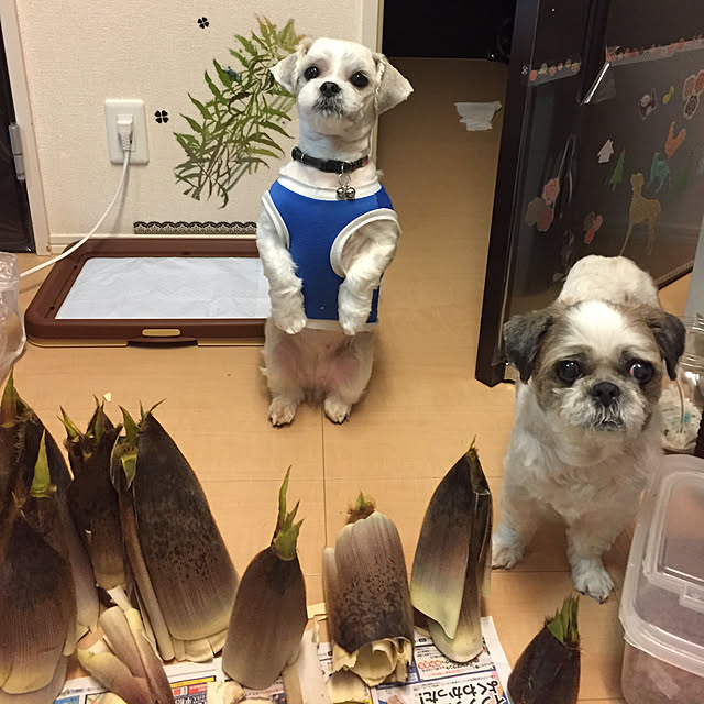 emiさんの実例写真