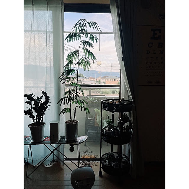 w_end_0625さんの実例写真