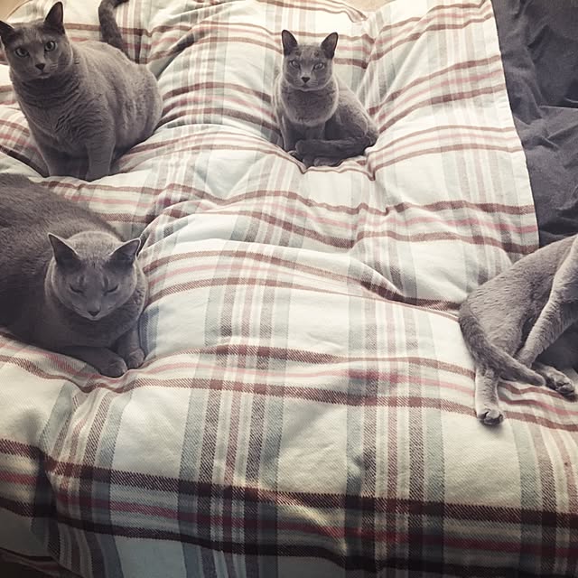 Rさんの実例写真