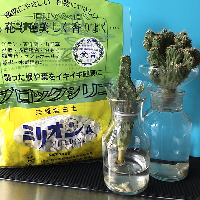 nanaさんの実例写真