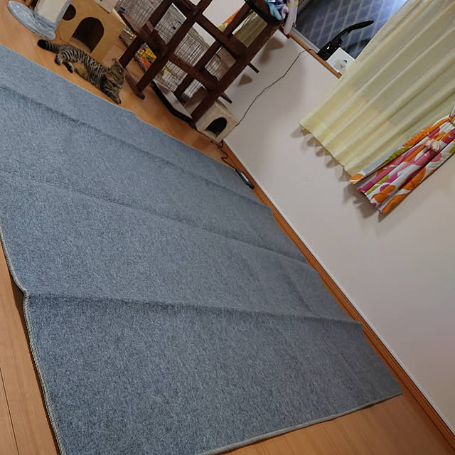 ニトリ ホットカーペット(I NT 3Jヨウ) - 通販 | 家具と