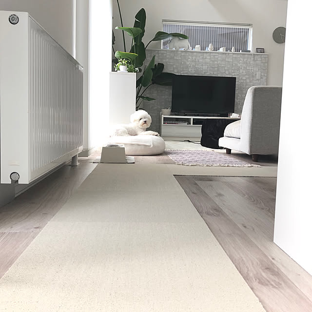 unichanさんの実例写真