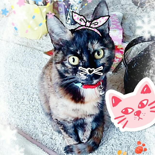 mcomcoさんの実例写真