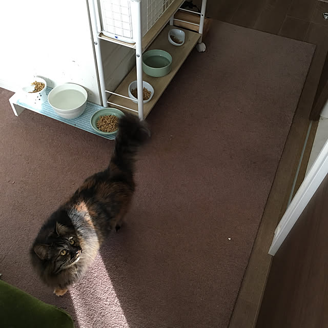mikomaruさんの実例写真