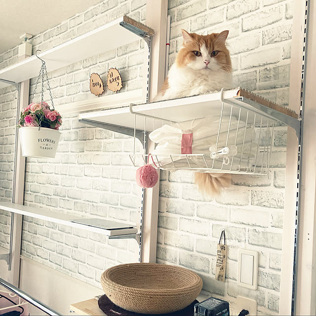 H.Tさんの実例写真