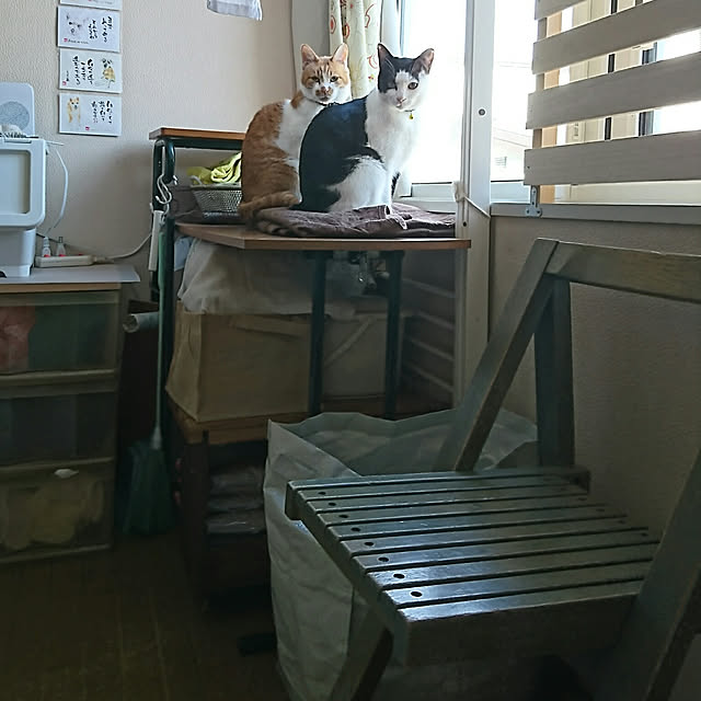 SHIHOさんの実例写真