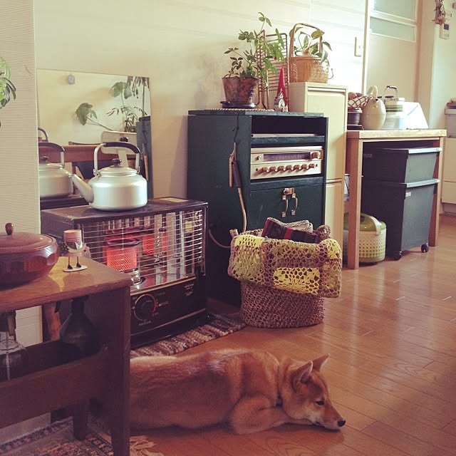 botanさんの実例写真