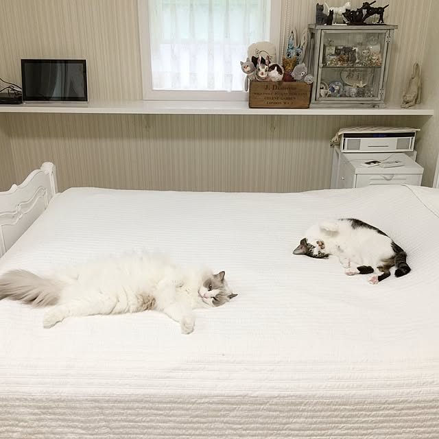 yuchiさんの実例写真