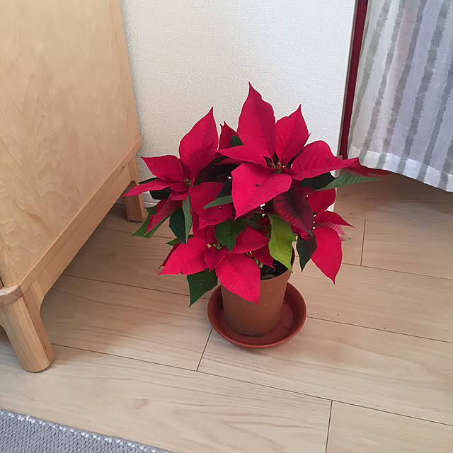 kroneさんの実例写真