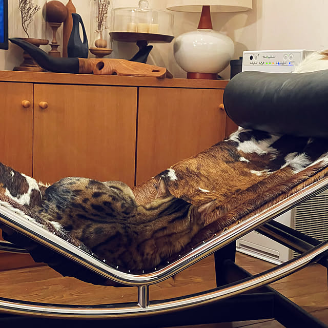 kabu10さんの部屋