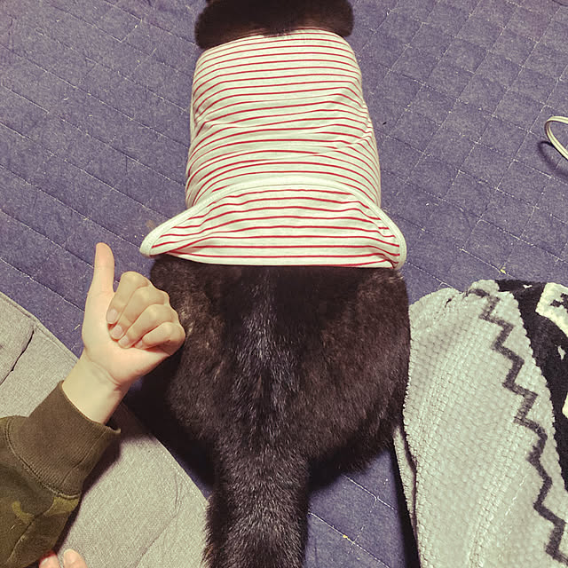 yoppy-happy35さんの実例写真