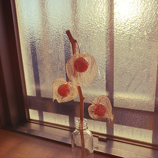 shioriさんの実例写真