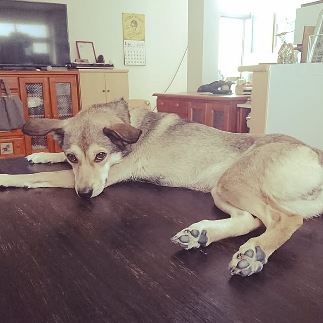andさんの実例写真