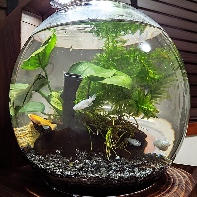 syamagatさんの実例写真