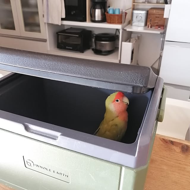 so-bokuさんの部屋