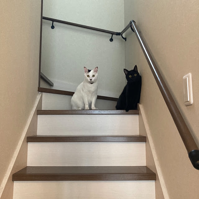 ma.さんの実例写真