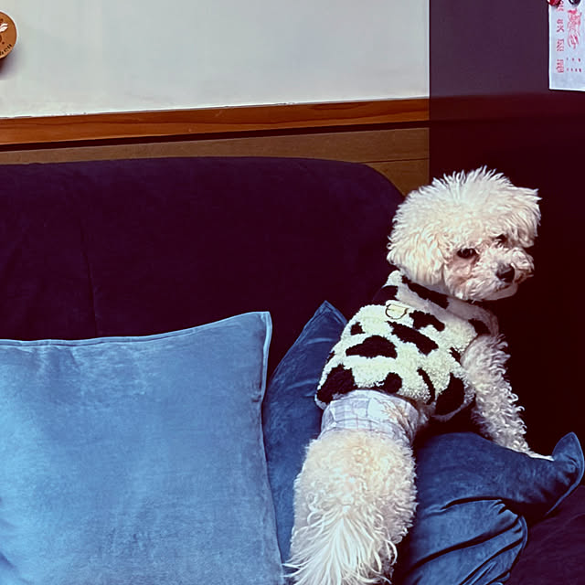 chacoさんの部屋