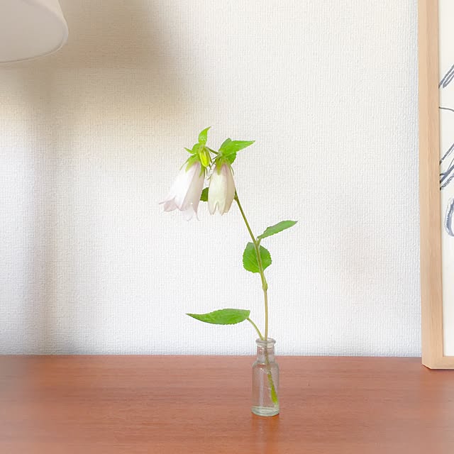 soleilさんの実例写真