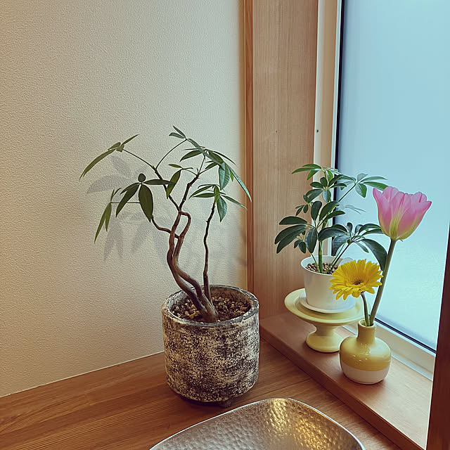appi102927さんの部屋